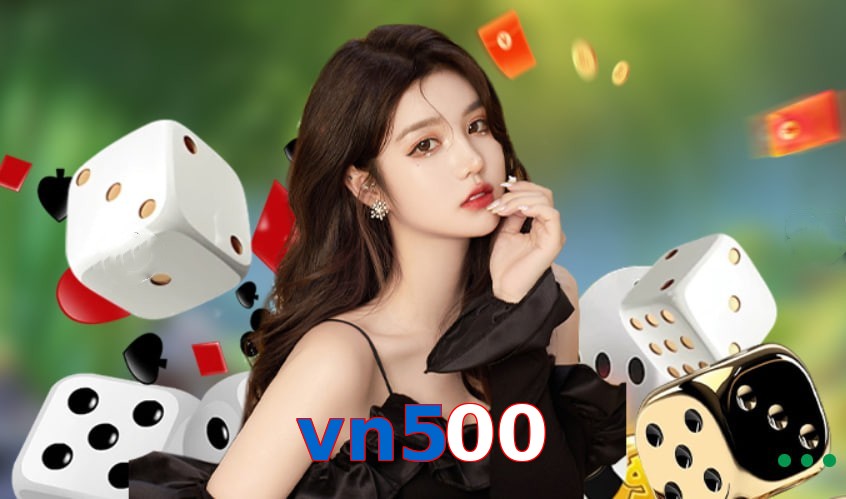 vn500