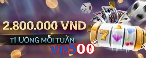 vn500
