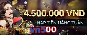 vn500