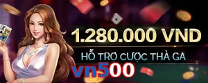 vn500