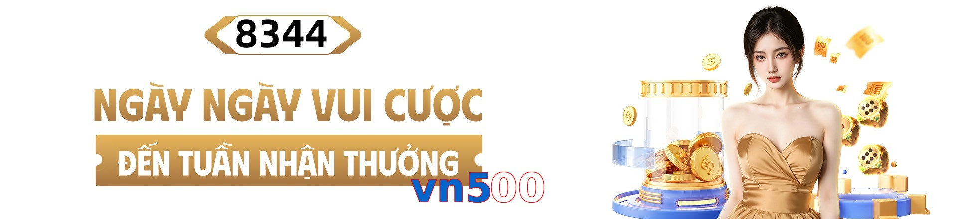 vn500