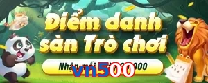 vn500