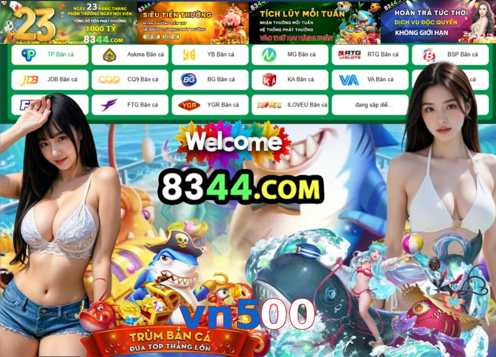 vn500