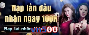 vn500
