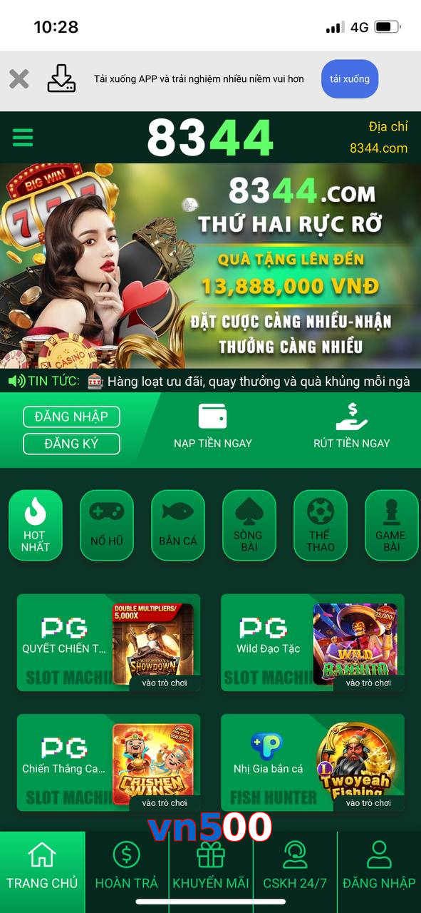 vn500