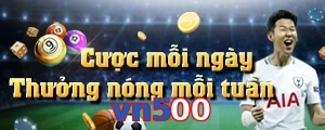 vn500