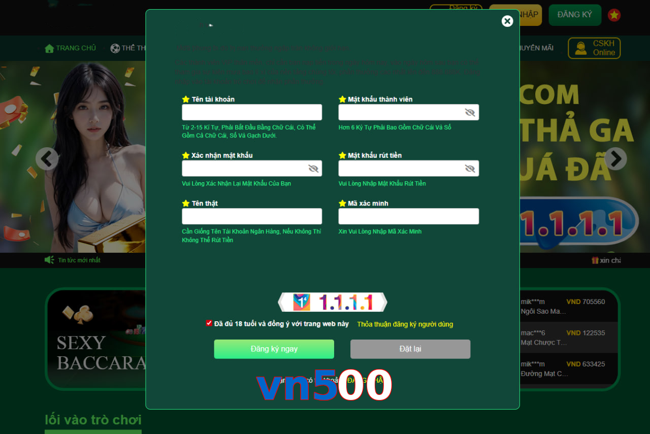 vn500